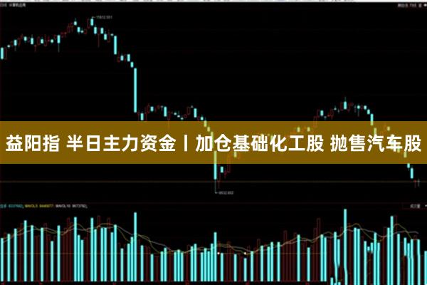 益阳指 半日主力资金丨加仓基础化工股 抛售汽车股