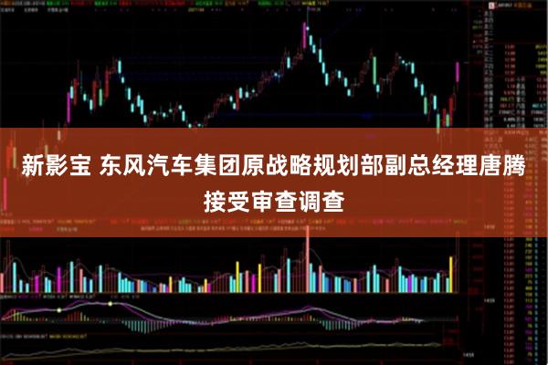 新影宝 东风汽车集团原战略规划部副总经理唐腾接受审查调查