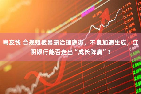 粤友钱 合规短板暴露治理隐患，不良加速生成，江阴银行能否走出“成长阵痛”？