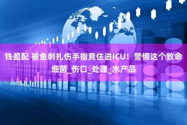 钱盈配 被鱼刺扎伤手指竟住进ICU！警惕这个致命细菌_伤口_处理_水产品