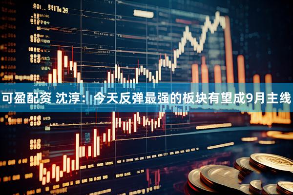 可盈配资 沈淳：今天反弹最强的板块有望成9月主线