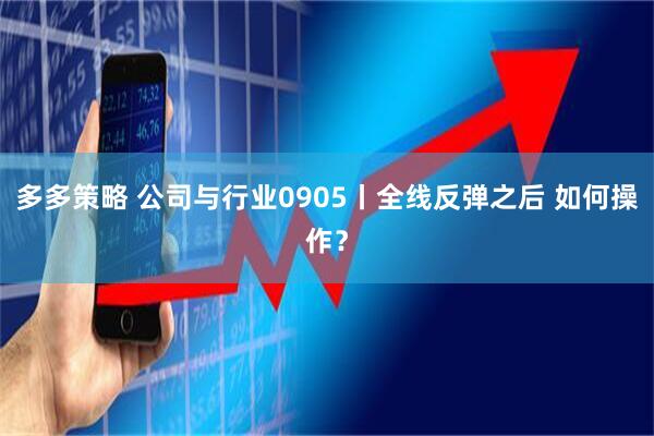 多多策略 公司与行业0905丨全线反弹之后 如何操作？