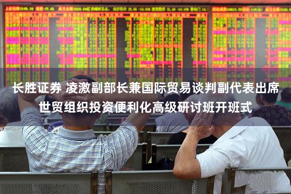 长胜证券 凌激副部长兼国际贸易谈判副代表出席世贸组织投资便利化高级研讨班开班式