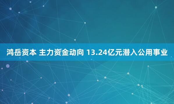 鸿岳资本 主力资金动向 13.24亿元潜入公用事业