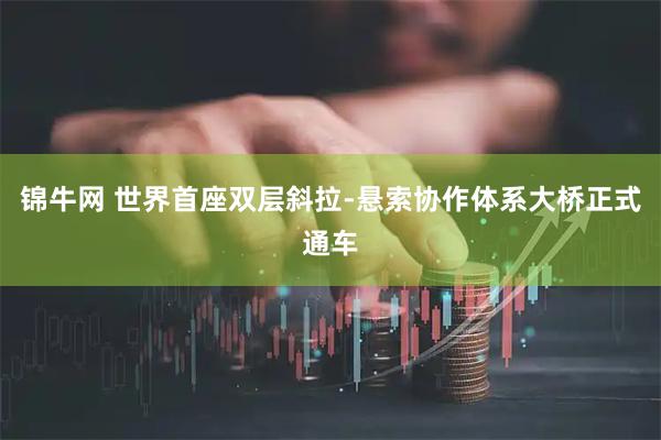 锦牛网 世界首座双层斜拉-悬索协作体系大桥正式通车