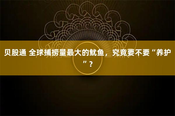 贝股通 全球捕捞量最大的鱿鱼，究竟要不要“养护”？
