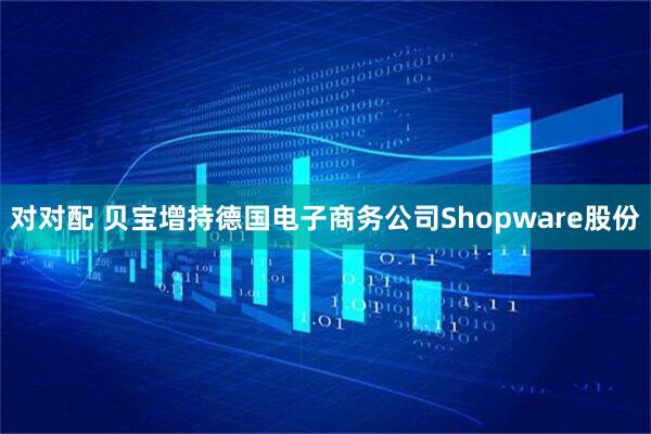 对对配 贝宝增持德国电子商务公司Shopware股份