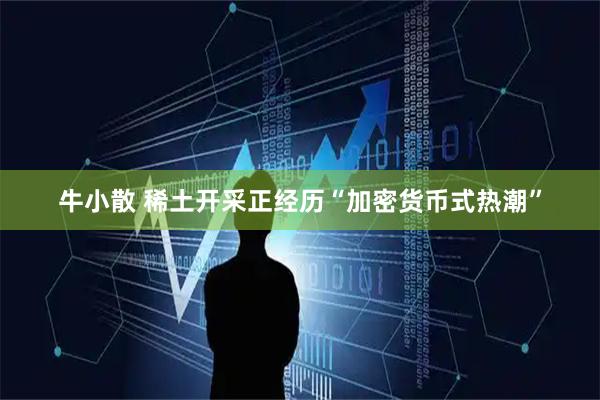 牛小散 稀土开采正经历“加密货币式热潮”