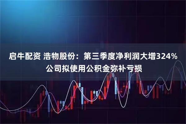 启牛配资 浩物股份：第三季度净利润大增324% 公司拟使用公积金弥补亏损
