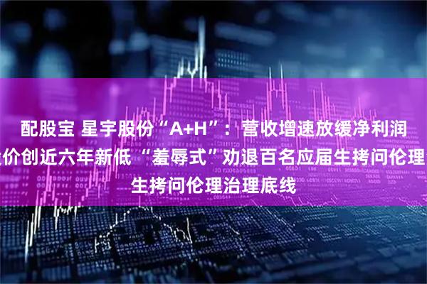 配股宝 星宇股份“A+H”：营收增速放缓净利润下滑、股价创近六年新低 “羞辱式”劝退百名应届生拷问伦理治理底线